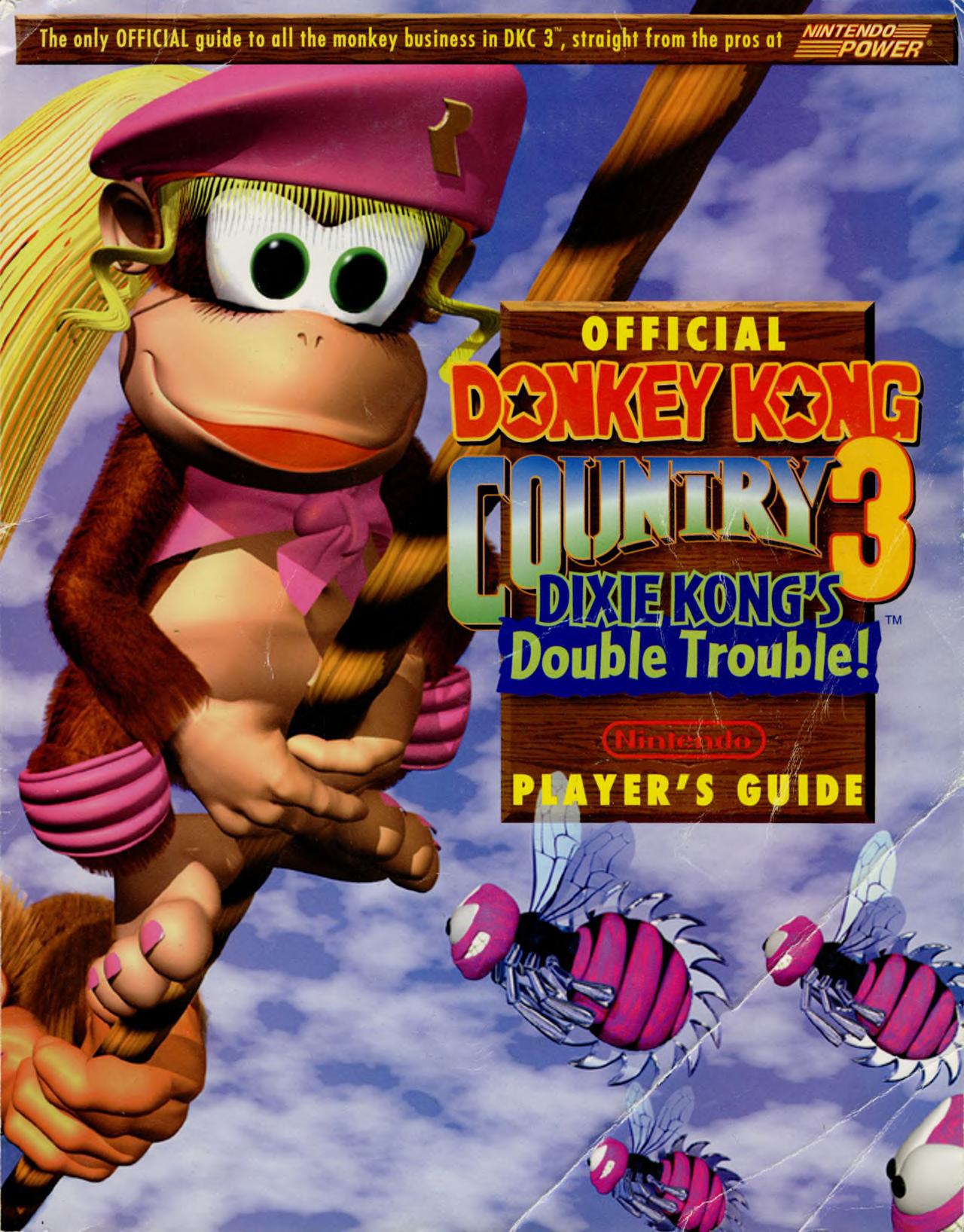 Donkey Kong Country 3
